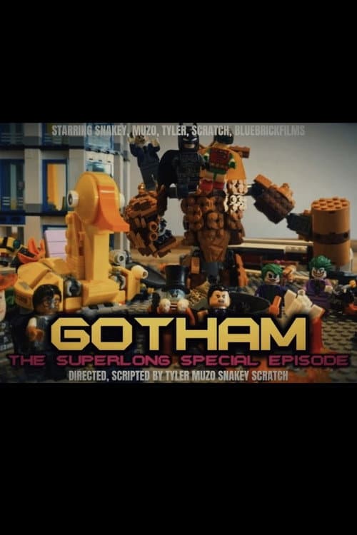 The Gotham Movie : A Tale Of Two Bats poster