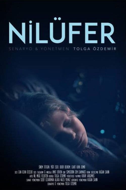 Nilüfer poster