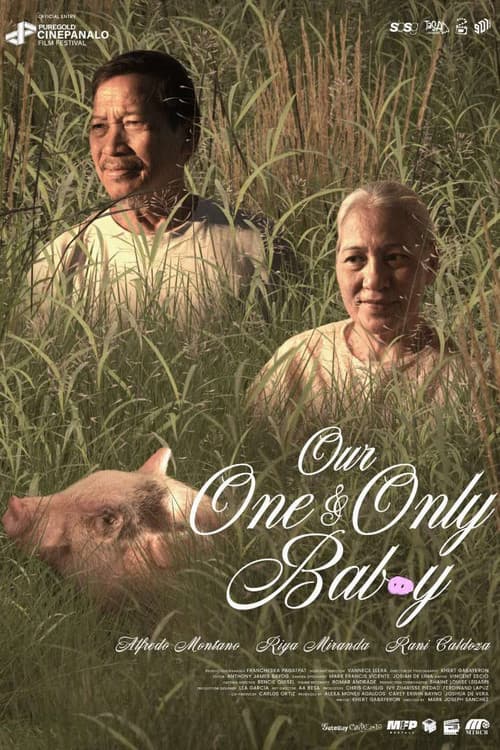 Our One and Only Bab(o)y poster