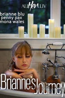 Brianne's Journey poster
