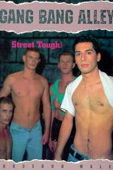 Gang Bang Alley poster