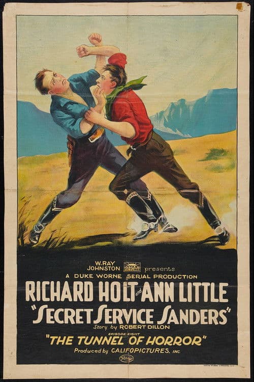 Secret Service Sanders poster