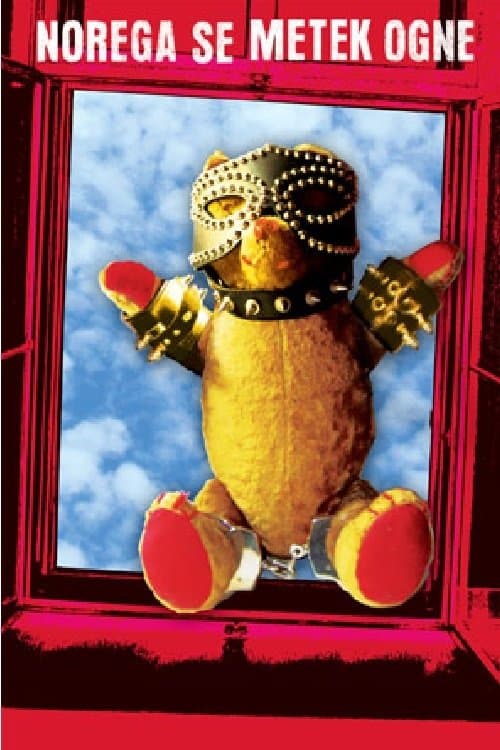 Bullets Miss the Fool poster