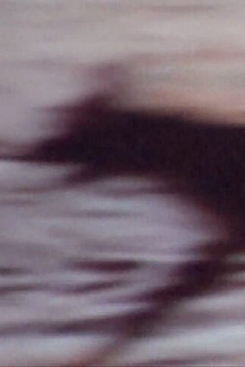 Rituales de registro poster