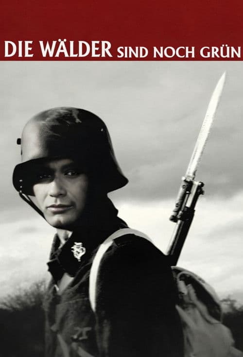 The Woods Are Still Green poster