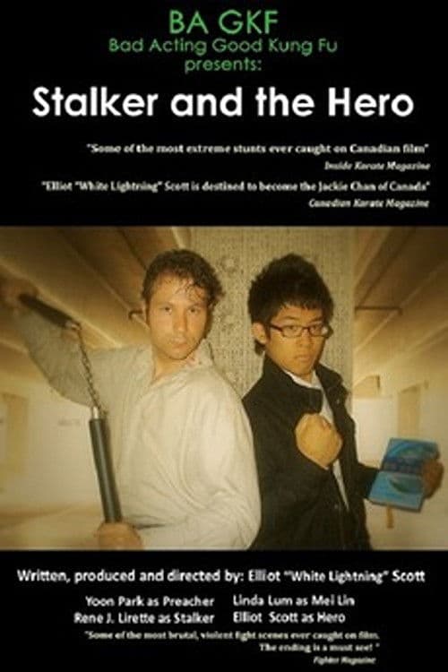 Stalker and the Hero poster