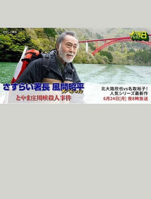 Toyama Shōgawa kai satsujin jiken poster