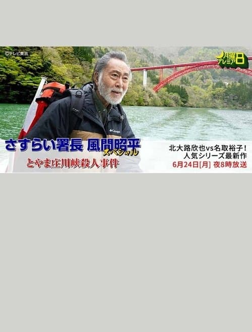 Toyama Shōgawa kai satsujin jiken poster