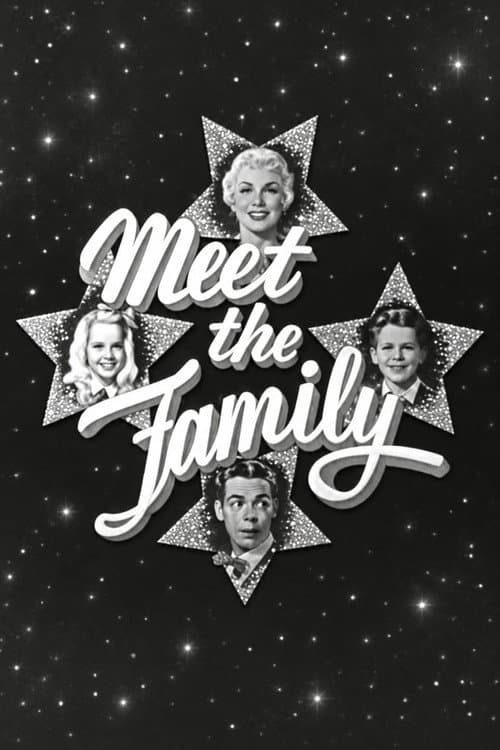 Meet the Family poster