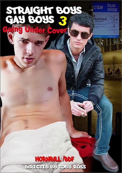 Straight Boys, Gay Boys 3: Going Under Cover poster