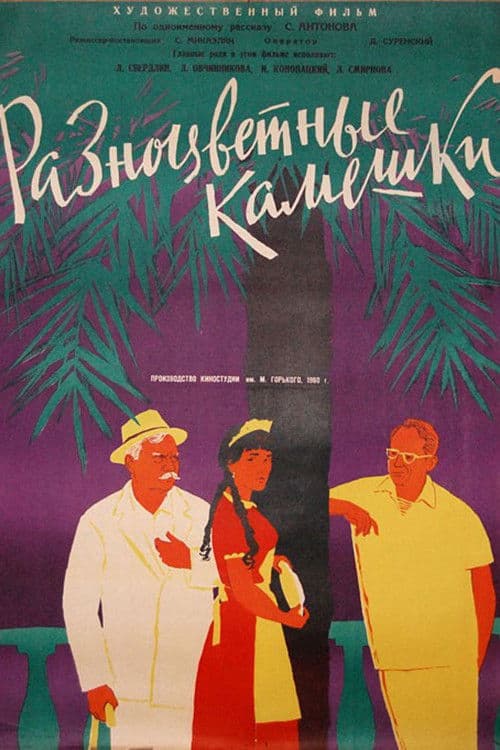 Разноцветные камешки poster