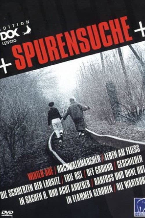 Hochwaldmärchen poster