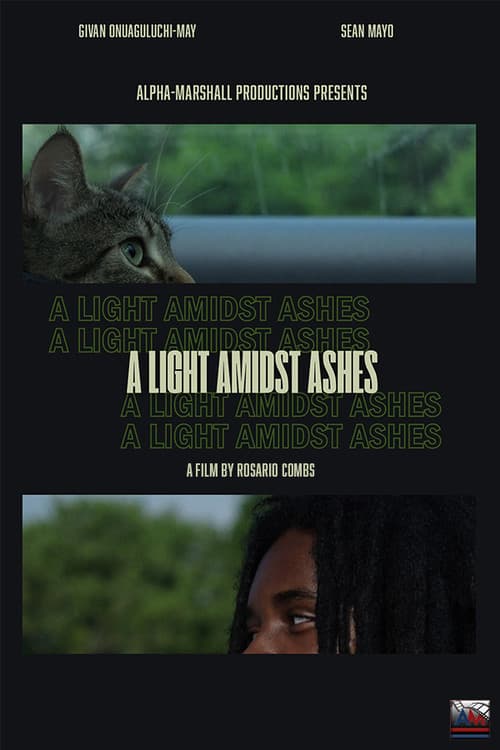 A Light Amidst Ashes poster