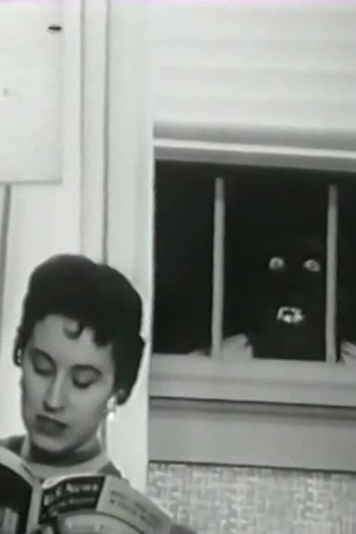 The Professor poster