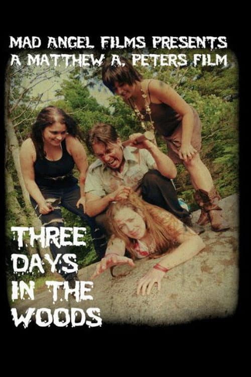 Three Days in the Woods poster