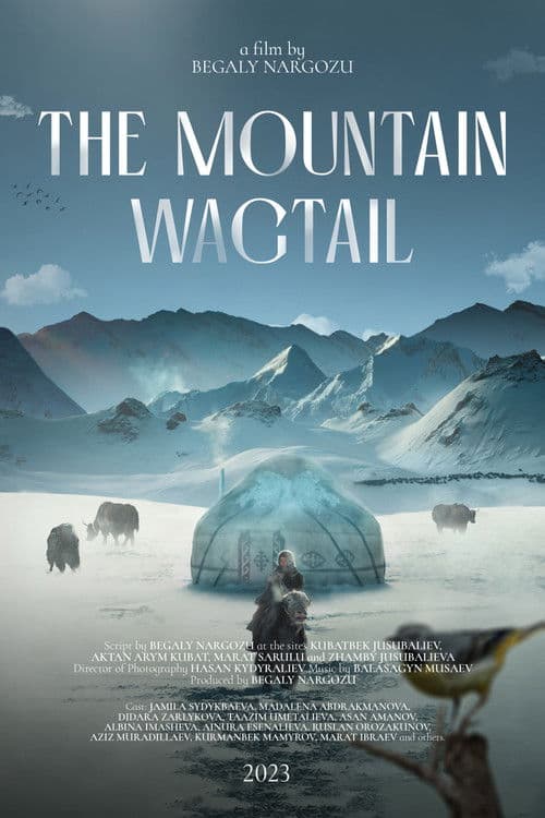 The Mountain Wagtail poster