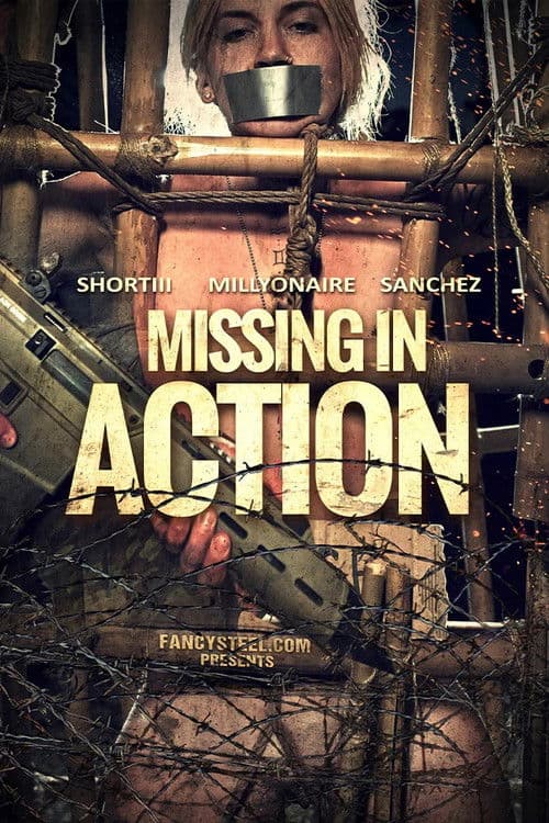 Missing In Action poster