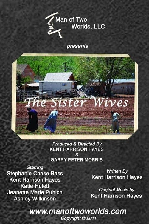 The Sister Wives poster