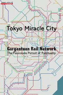 Tokyo Miracle City: Gargantuan Rail Network - The Passionate Pursuit of Punctuality