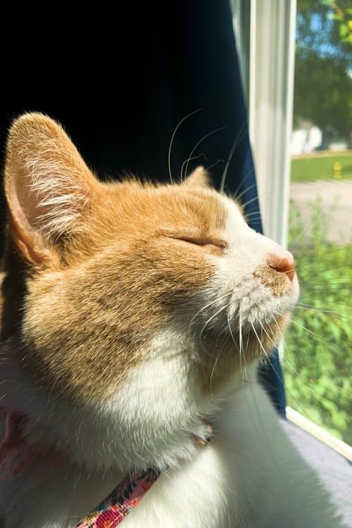 Cheyenne Childers profile photo