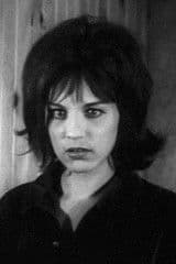 Randy Glen profile photo