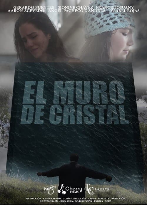 El Muro de Cristal poster