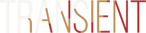 Transient Pictures