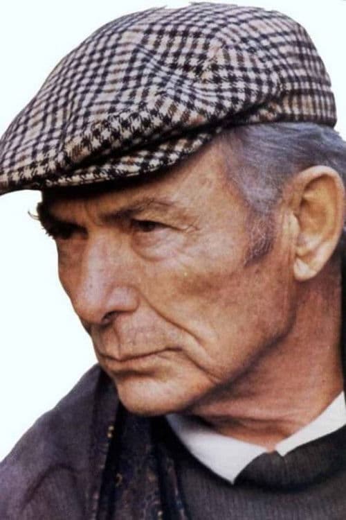 Dinos Dimopoulos profile photo