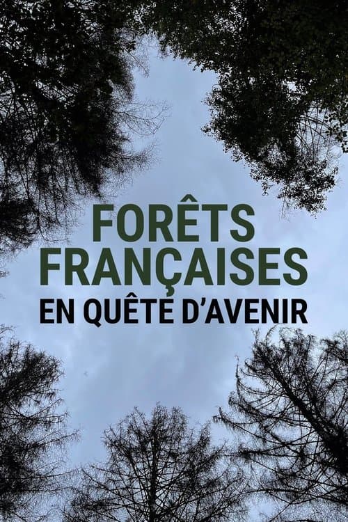 Forêts françaises en quête d'avenir poster