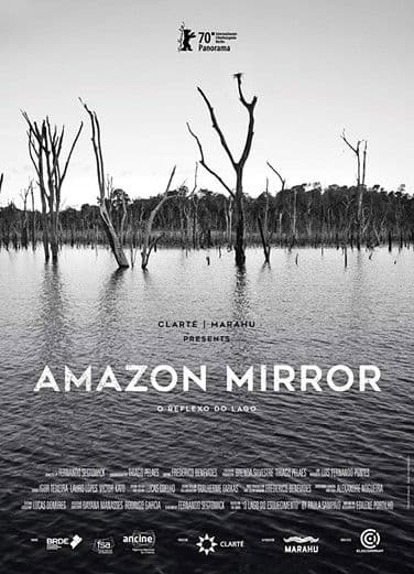 Amazon Mirror