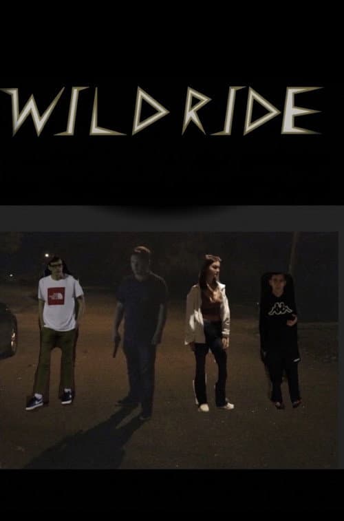Wild Ride poster