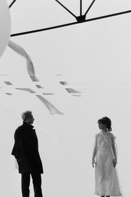 Noces de plumes poster