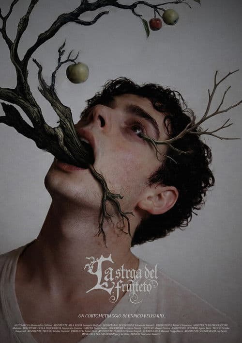 La strega del frutteto poster