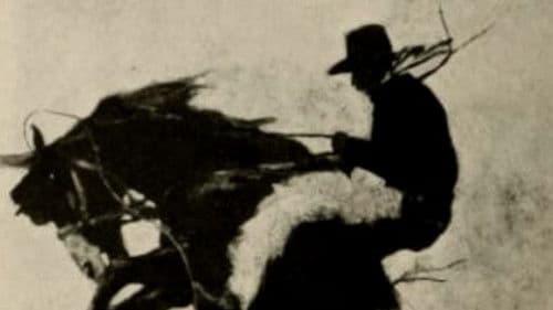 The Millionaire Cowboy poster