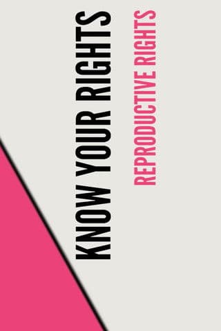 Stand UP, Speak OUT: Reproductive Rights - Know Your Rights poster