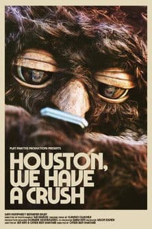 Houston, We Have a Crush poster