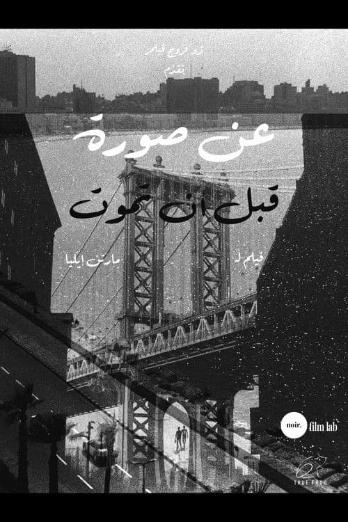 About a Picture Before it Dies poster