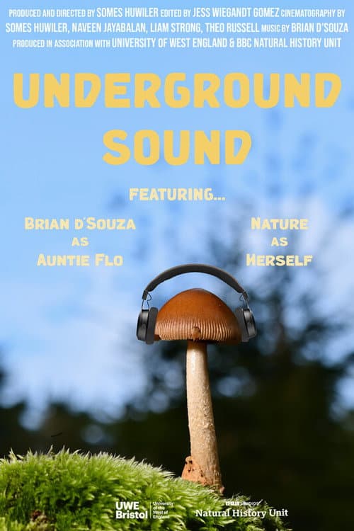 Underground Sound poster
