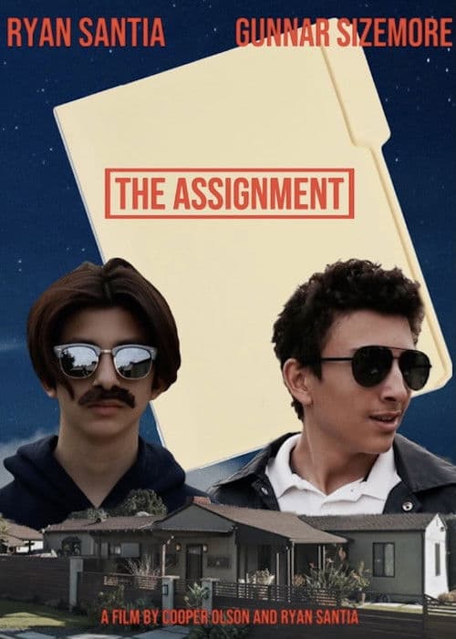 The Assignment poster