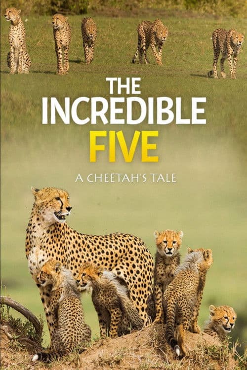 The Incredible Five: A Cheetah's Tale poster