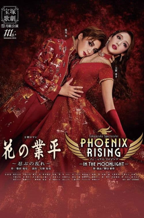 Phoenix Rising -In the Moonlight- poster
