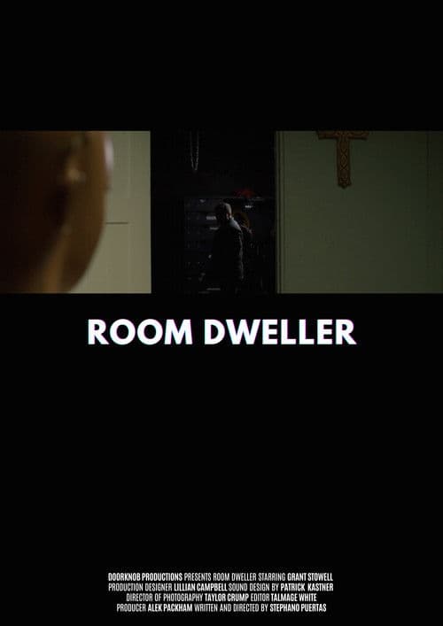 ROOM DWELLER poster