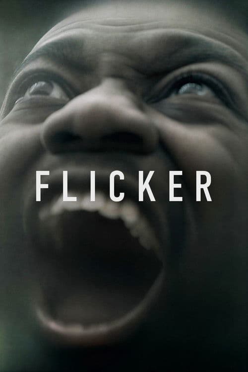 Flicker poster