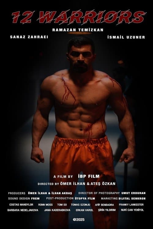 12 Warriors poster