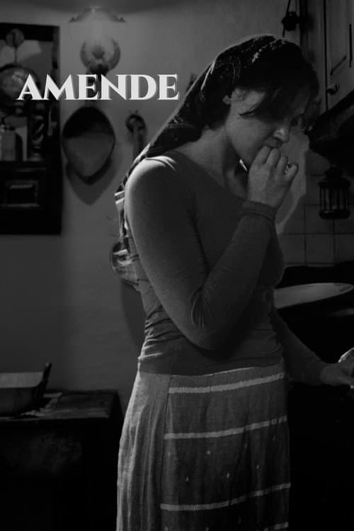 AMENDE poster