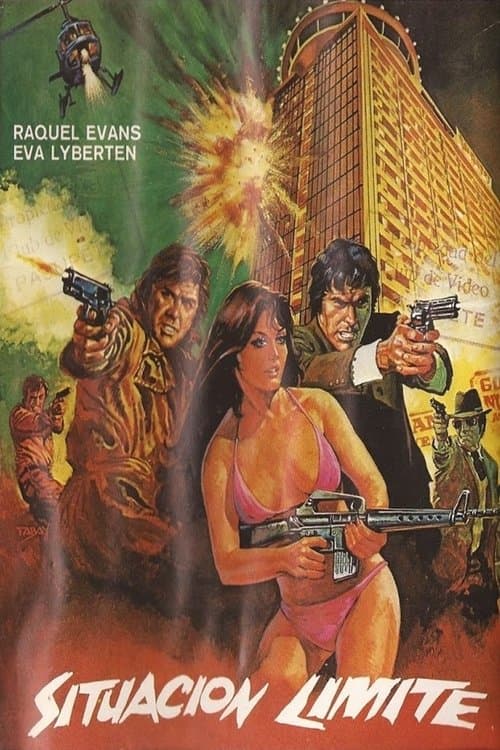 Porno: Situación límite poster