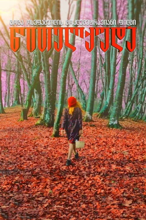 წითელქუდა poster