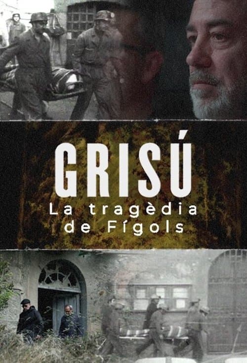 Grisú, la tragèdia de Fígols poster