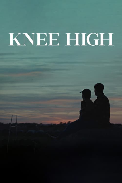 Knee High poster