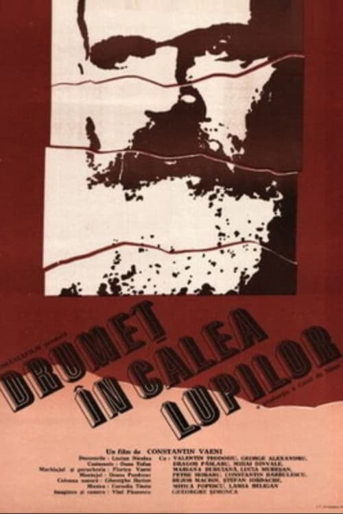 Drumeț în calea lupilor poster